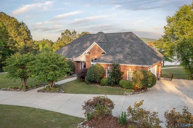 Waterfront home on Neely Henry Lake with stunning sunset views - photo 3