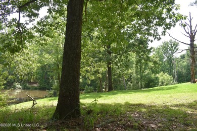 The Little Coldwater 50 acres has a little bit of everything! - photo 14