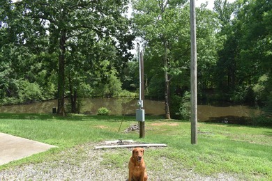 The Little Coldwater 50 acres has a little bit of everything! - photo 16