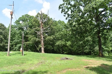 The Little Coldwater 50 acres has a little bit of everything! - photo 17