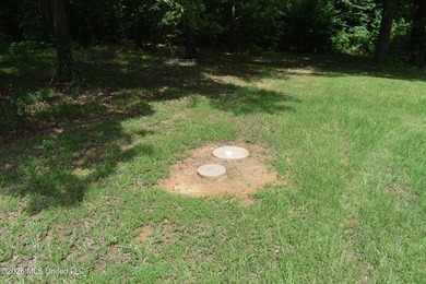 The Little Coldwater 50 acres has a little bit of everything! - photo 18