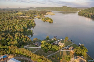 Waterfront home on Neely Henry Lake with stunning sunset views - photo 8