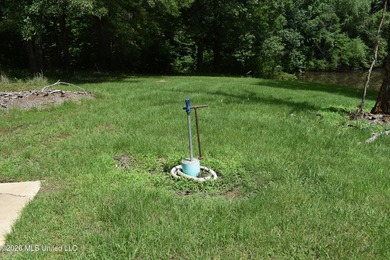 The Little Coldwater 50 acres has a little bit of everything! - photo 19