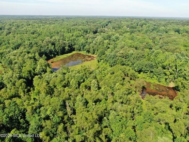 The Little Coldwater 50 acres has a little bit of everything! - photo 20