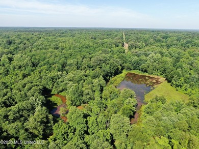 The Little Coldwater 50 acres has a little bit of everything! - photo 21