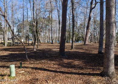 Over 1.5 acres of prime waterfront property. This exceptional - photo 22