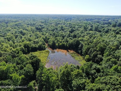 The Little Coldwater 50 acres has a little bit of everything! - photo 22
