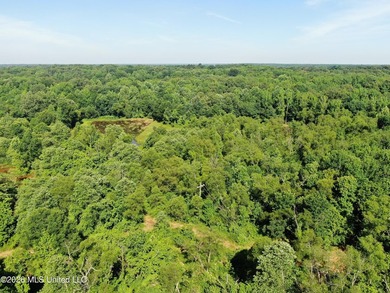 The Little Coldwater 50 acres has a little bit of everything! - photo 23