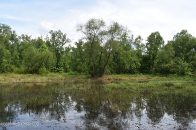 The Little Coldwater 50 acres has a little bit of everything! - photo 24