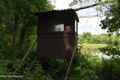 The Little Coldwater 50 acres has a little bit of everything! - photo 25