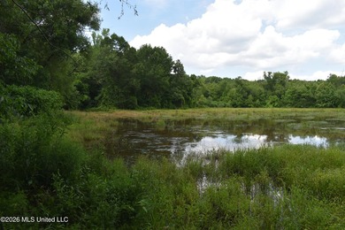 The Little Coldwater 50 acres has a little bit of everything! - photo 26