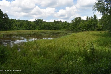 The Little Coldwater 50 acres has a little bit of everything! - photo 27