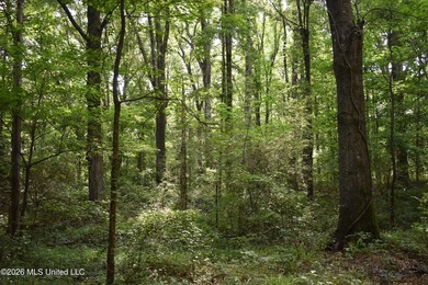 The Little Coldwater 50 acres has a little bit of everything! - photo 28