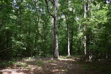 The Little Coldwater 50 acres has a little bit of everything! - photo 29