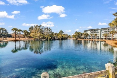 Coastal charm meets elevated views at Summerhouse Unit 403 in - photo 30