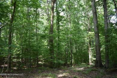 The Little Coldwater 50 acres has a little bit of everything! - photo 30