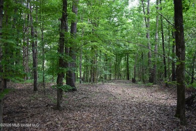 The Little Coldwater 50 acres has a little bit of everything! - photo 31