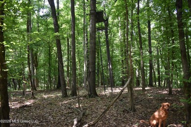 The Little Coldwater 50 acres has a little bit of everything! - photo 32