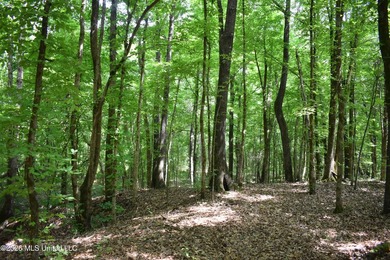 The Little Coldwater 50 acres has a little bit of everything! - photo 33