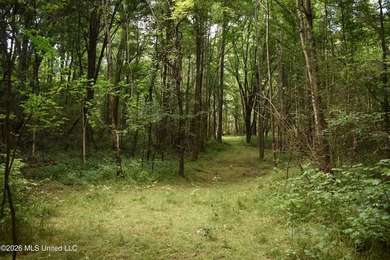 The Little Coldwater 50 acres has a little bit of everything! - photo 34