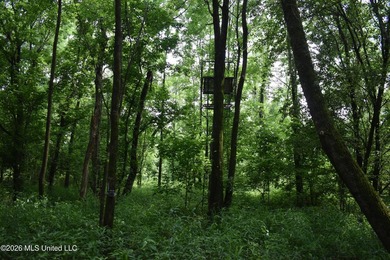 The Little Coldwater 50 acres has a little bit of everything! - photo 35