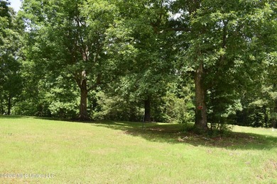 The Little Coldwater 50 acres has a little bit of everything! - photo 37