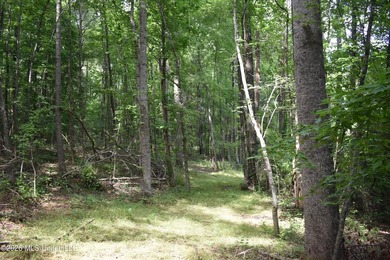 The Little Coldwater 50 acres has a little bit of everything! - photo 38