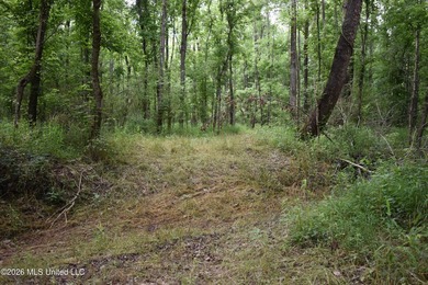 The Little Coldwater 50 acres has a little bit of everything! - photo 39
