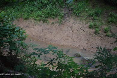 The Little Coldwater 50 acres has a little bit of everything! - photo 40