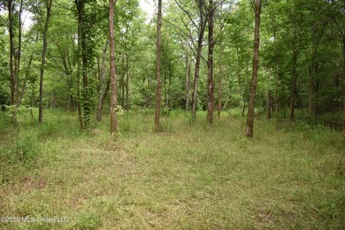 The Little Coldwater 50 acres has a little bit of everything! - photo 41