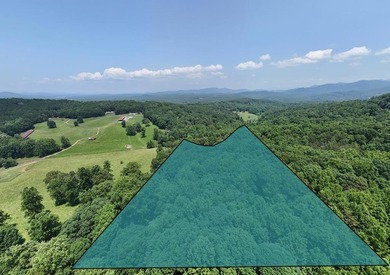 Lake Nottely Acreage Active Under Contract in Blairsville Georgia