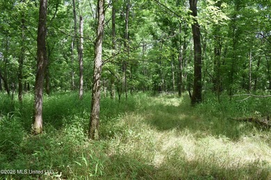 The Little Coldwater 50 acres has a little bit of everything! - photo 42