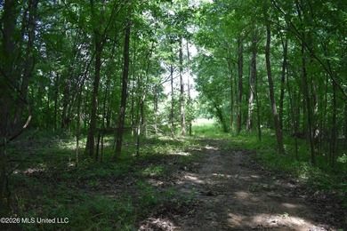 The Little Coldwater 50 acres has a little bit of everything! - photo 43