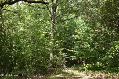 The Little Coldwater 50 acres has a little bit of everything! - photo 44