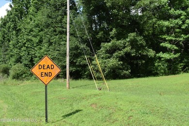 The Little Coldwater 50 acres has a little bit of everything! - photo 45