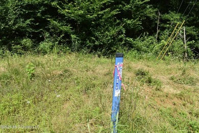 The Little Coldwater 50 acres has a little bit of everything! - photo 46