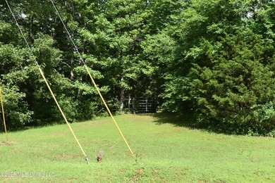 The Little Coldwater 50 acres has a little bit of everything! - photo 47