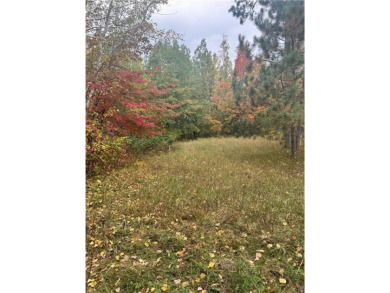 Lake Acreage For Sale in Walker, Minnesota