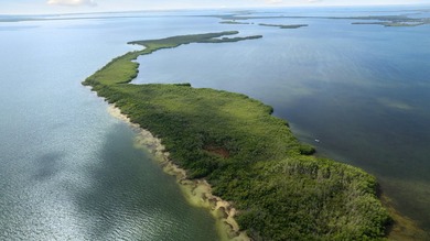 MAIN KEY is a 145.5-acre private island with over a mile of - photo 4