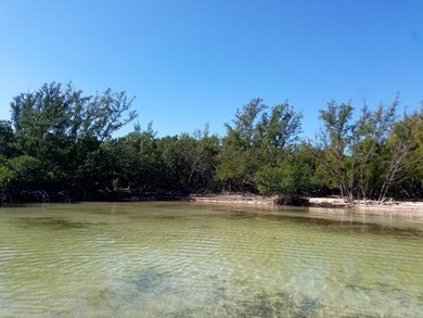 MAIN KEY is a 145.5-acre private island with over a mile of - photo 8