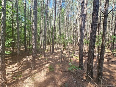 7+ ACRES IN A GREAT NEIGHBORHOOD! PROPERTY IS ONLY 15 MINUTES - photo 2