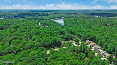 WOW FACTOR - CUSTOM FROM TOP TO BOTTOM - CONTRACTOR BUILT FOR - photo 36