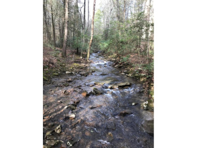 (private lake, pond, creek) Acreage For Sale in Dunlap Tennessee