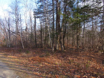 Little Pushaw Pond Acreage For Sale in Hudson Maine