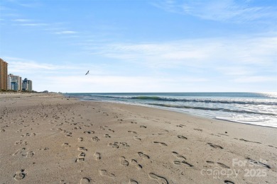 Welcome to this stunning Oceanfront Condo in Meridian Plaza
