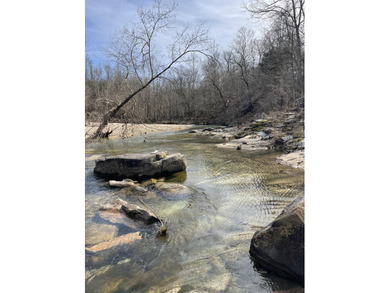 (private lake, pond, coastal) Acreage For Sale in Ava Missouri