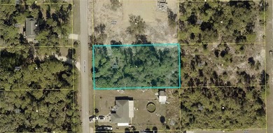 Lehigh Acres Area Lot For Sale in Alva Florida