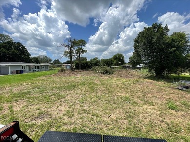 Lehigh Acres Area Lot For Sale in Lehigh Acres Florida