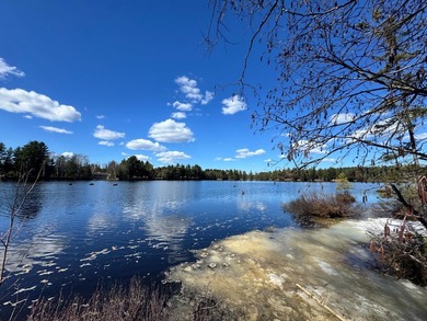 Newly renovated year-round cottage on the Eagle River Chain of - photo 3