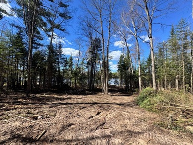 Newly renovated year-round cottage on the Eagle River Chain of - photo 4